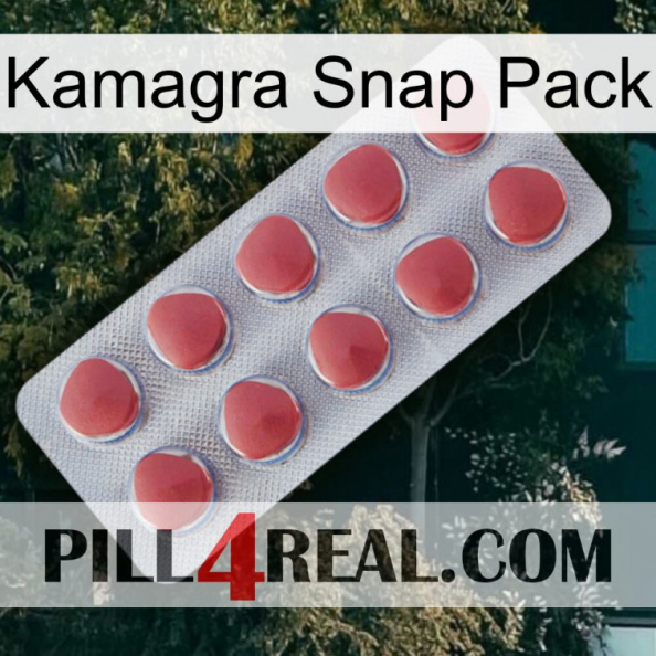 Kamagra Snap Pack 18.jpg